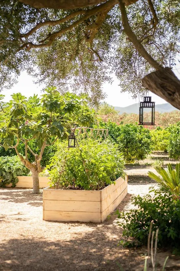 Hotel Can Arabí Puig D'en Valls