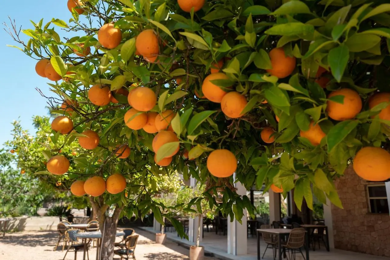 **** Szálloda Can Arabi - Adults Only Puig D’en Valls Spanyolország